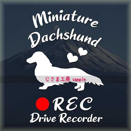 わんちゃんの可愛いドラレコステッカー!!『DRIVE RECORDER