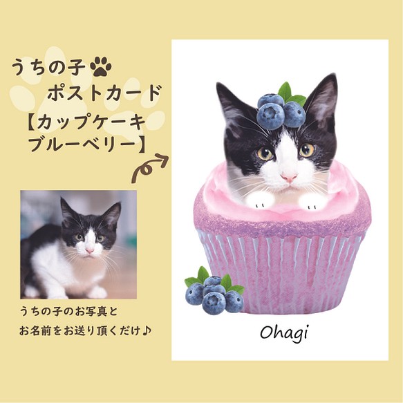 最大90 Offクーポン ポストカード うちの子カップケーキ ブルーベリー 犬猫フェレット ペット似顔絵 イラスト