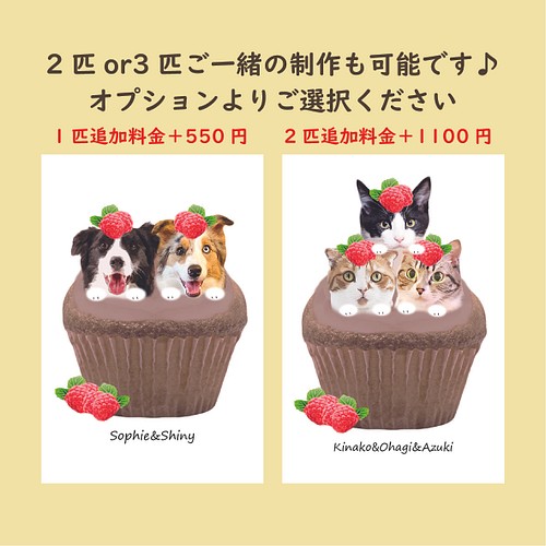 ポストカード うちの子カップケーキ チョコベリー イラスト 犬猫フェレット ペット似顔絵 イラスト 糸葉 Itoha 通販 Creema クリーマ ハンドメイド 手作り クラフト作品の販売サイト