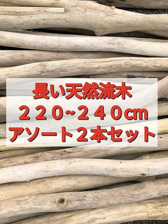 配送日指定可 南信州 天然流木 長い枝流木 アソート販売 220cmから