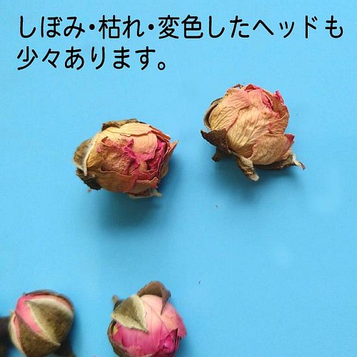 ミニバラ ヘッド 小分け 約30個 ローズバッド バラ 薔薇 つぼみ 蕾 ドライフラワー サシェ ハーバリウム その他素材 カロハル ｃ 通販 Creema クリーマ ハンドメイド 手作り クラフト作品の販売サイト