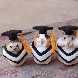 卒業ペット人形デコレーション・卒業ギフト・学士の制服・学士の帽子・ハリネズミ・モルモット・ハムスター 1枚目の画像