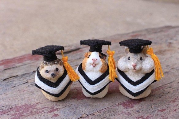 畢業寵物公仔擺設‧畢業禮物‧學士服‧學士帽‧刺蝟‧天竺鼠‧倉鼠 第1張的照片