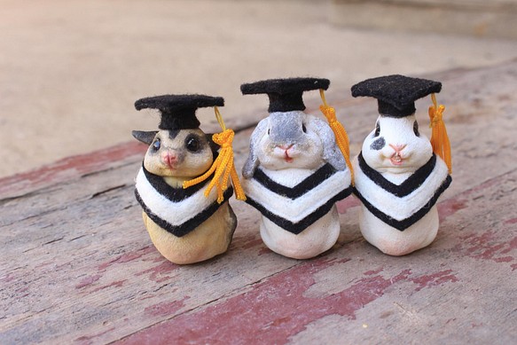 畢業寵物公仔擺設‧畢業禮物‧學士服‧學士帽‧蜜袋鼯‧垂耳兔‧兔 第1張的照片