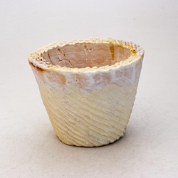 陶器製（2.5号ポット相当）多肉植物の欲しがる植木鉢 SMSc-2065イエロー 1枚目の画像