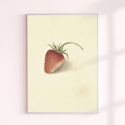 【NO.347】苺いちごの絵画アートポスター☆フルーツ果物イチゴ赤色レトロカフェナチュラルインテリア★ハガキA4A3A2 1枚目の画像
