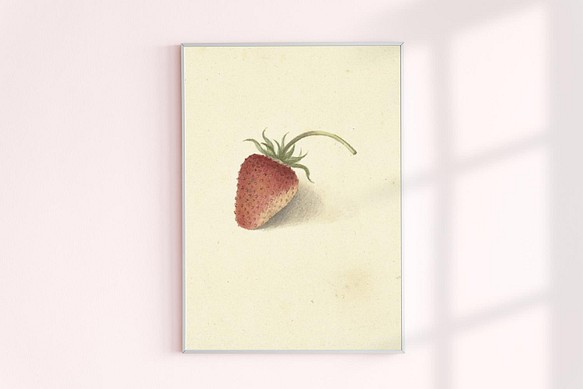 【NO.347】苺いちごの絵画アートポスター☆フルーツ果物イチゴ赤色レトロカフェナチュラルインテリア★ハガキA4A3A2 1枚目の画像