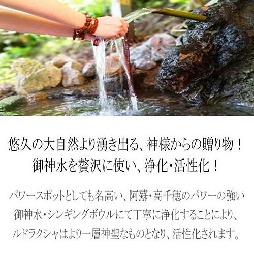 在庫処分 最強の邪気払い 交通安全のお守り ヴァジュラ 虎牙天珠 高品質ルドラクシャマーラーペンダント 菩提樹の実 全チャクラ 天然石ネックレス ペンダント