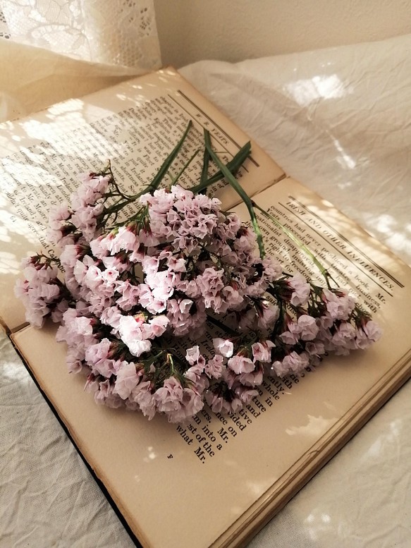 桜のお花のような くすみピンク色の可愛いスターチスのドライフラワー 花材 ハンドメイド フラワー リース Green Note 通販 Creema クリーマ ハンドメイド 手作り クラフト作品の販売サイト