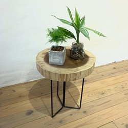 切り株の輪切りアイアン製テーブル　お洒落なルックス　植物スタンド　観葉植物　鉄脚　キャンプ 1枚目の画像