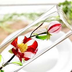 【植物標本 M】椿 紅白絞り Camellia 1枚目の画像