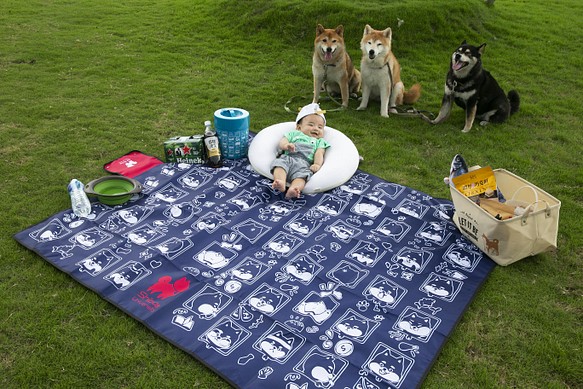 柴犬大學-柴老大表情包野餐墊 沙攤墊 加厚防水 柴犬週邊 第1張的照片