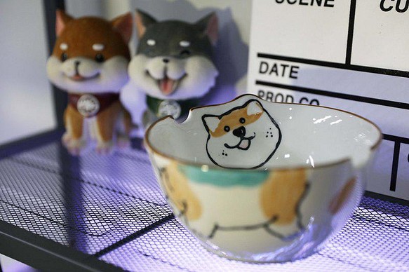 柴犬大學 - 柴犬創意碗盤 柴犬造型大麵碗 送禮小物 第1張的照片