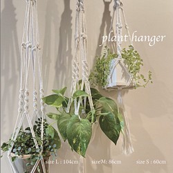 【 マクラメ 】プラントハンガー　白 / 3サイズ展開 / 植物 / ポトス 1枚目の画像
