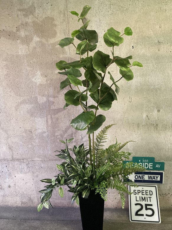 光触媒　人工観葉植物　ウォールグリーン　フェイク　アレンジ　シーグレープ特大 1枚目の画像