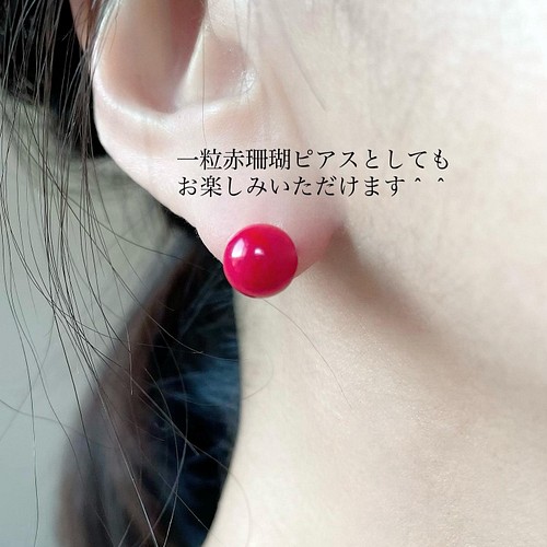 red coralダブルフープピアス www.seoinjaipur.com