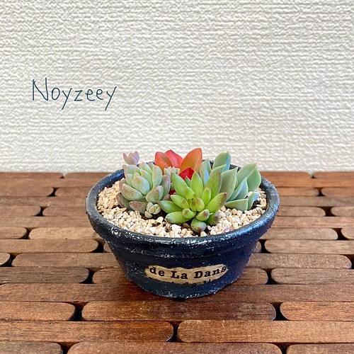 送料無料 リメイク鉢 多肉植物 寄せ植え フラワー リース Noyzeey 通販 Creema クリーマ ハンドメイド 手作り クラフト作品の販売サイト