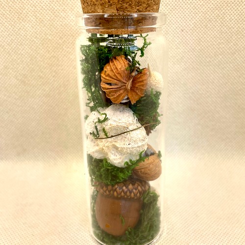 森の木の実のどんぐりインテリア瓶1本♬ フラワー・リース totori 通販 