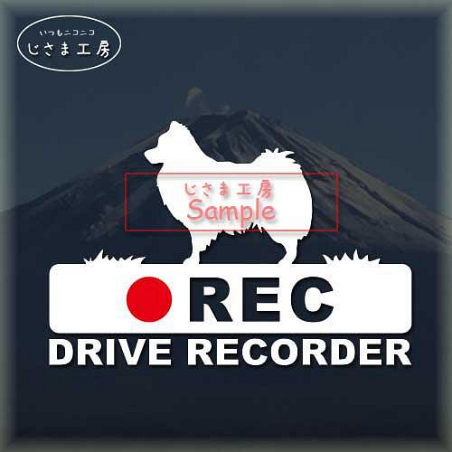 日本スピッツの白シルエットステッカー後方注意!!『DRIVE　RECORDER』 1枚目の画像