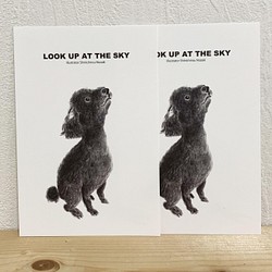(073)LOOK UP AT THE SKY(mono)同柄２枚SET 1枚目の画像