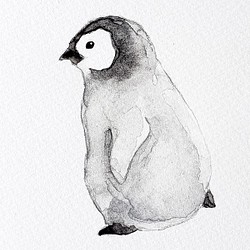 ペンギンのイラスト【原画】 1枚目の画像