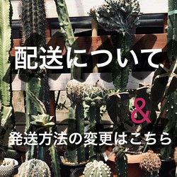 受注製作》好きなサイズで作る オリジナル クッション綿 250個（100