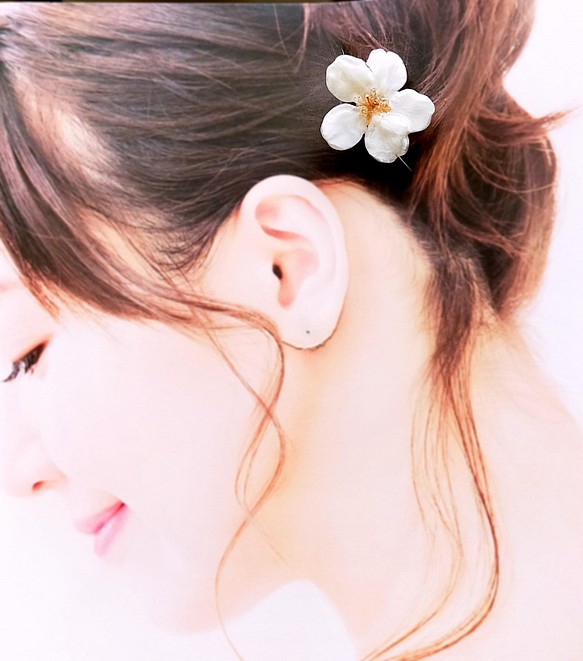 【受注制作】Everpink Sakura. 本物のお花　桜の髪飾り　かんざし/簪 ソメイヨシノ - 3