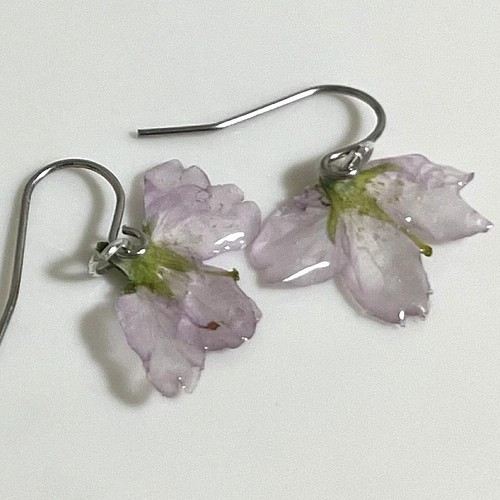 本物のお花 ピアス シンプルなお花のピアス 桜 ピアス Hoshi No Koe 押し花 通販 Creema クリーマ ハンドメイド 手作り クラフト作品の販売サイト