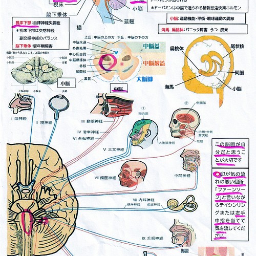 天地呼吸法気功カード4枚と渦カード1枚 両手両足に置く 呼吸が深くなり