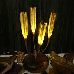 工場直販 【再販】魔法植物「さざなみのニゲラ」ランプ アート/写真