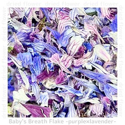 かすみ草　フレーク　〈パープル×ラベンダー〉/ ドライフラワー 　フレーク　染め　花材 　花弁 1枚目の画像