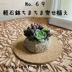 No.６９☆軽石鉢ちまちま多肉寄せ植え☆３月２７日までの出品です 多肉植物 Succulent calme 通販｜Creema(クリーマ)