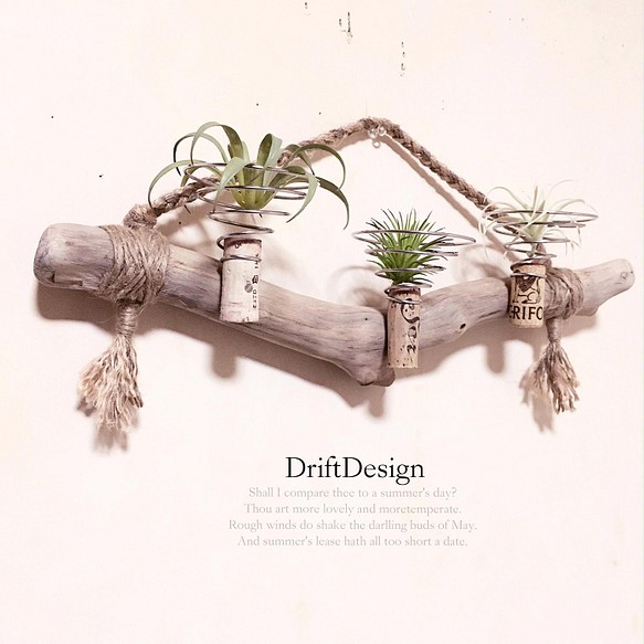 Drift Design〜 味わい流木のお洒落な多用途３連コルクホルダー エア