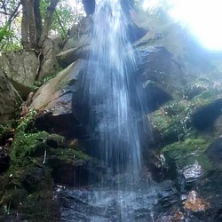 水に現れた龍神様２枚とおまけ１枚（Lサイズ ） 写真・グラフィック 龍