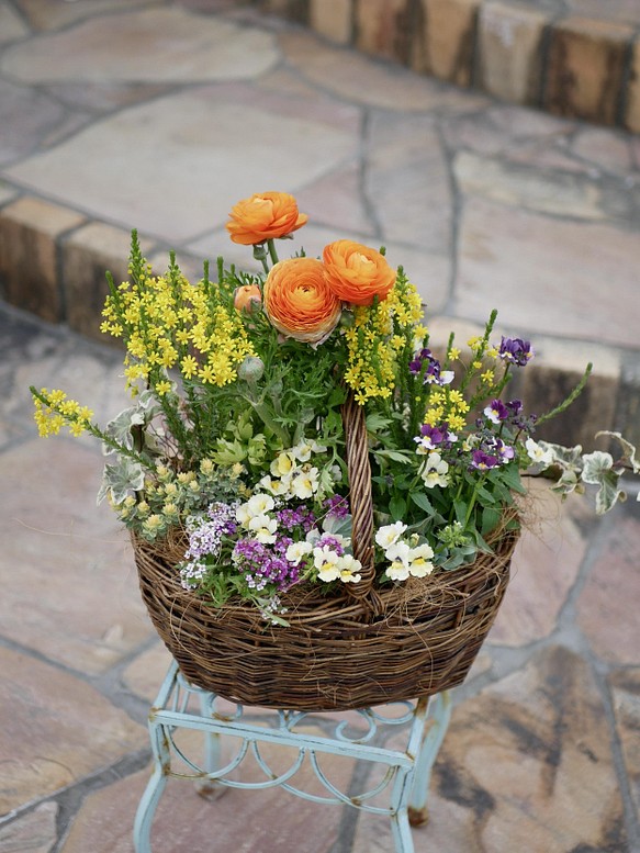 春の寄せ植え 心に寄り添うバスケット ラナンキュラス 春爛漫のお花たち 毎年咲くお花 フラワー リース Watarasse 通販 Creema クリーマ ハンドメイド 手作り クラフト作品の販売サイト