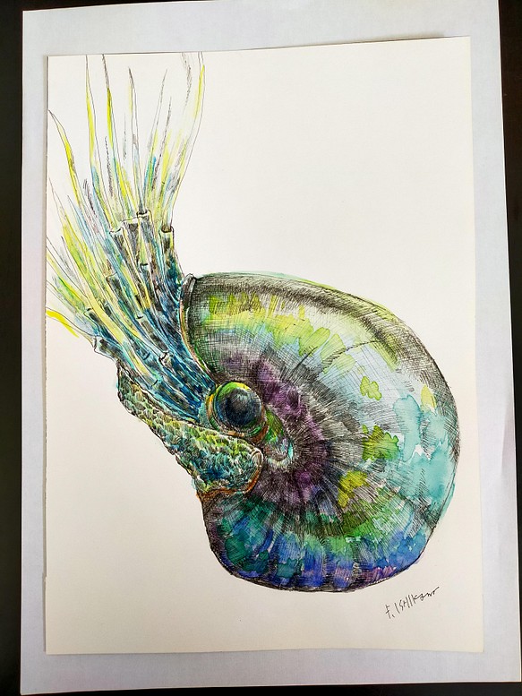 深海の生物　絵画　イラスト　深海　絵