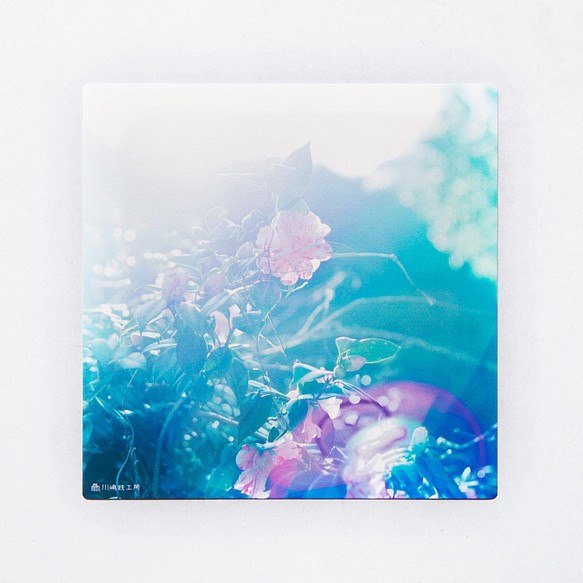 椿 3枚セット（野花のしかくいポストカード）ツバキ・写真・正方形・メッセージカード 1枚目の画像