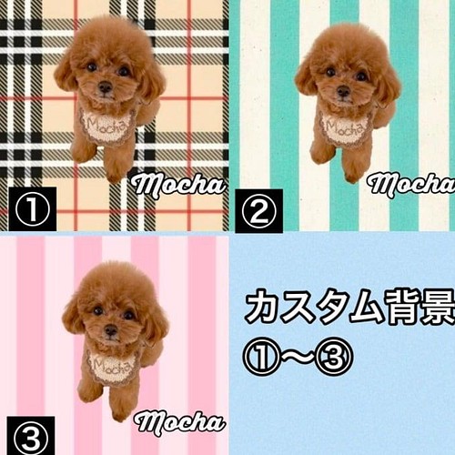 プチプラミラー】 わが子オリジナル うちの子 缶 ペットグッズ 犬 猫