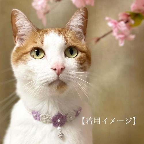 ラベンダー シルバー お花の首輪 猫 小型犬用 リード 首輪 Moco 通販 Creema クリーマ ハンドメイド 手作り クラフト作品の販売サイト