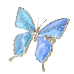 本物の蝶の羽　蝶リング　キプリスモルフォ　[zps002r-cyp] 1枚目の画像