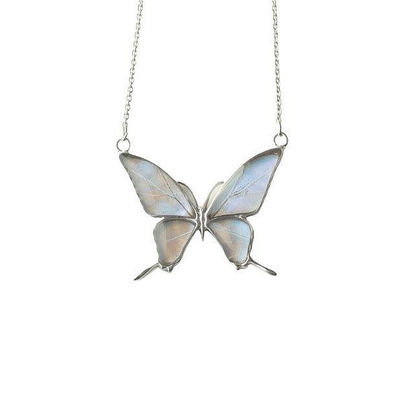 本物の蝶の羽　両吊りタイプ蝶ネックレス　スルコウスキーモルフォ　[zps028wr-sul] 1枚目の画像