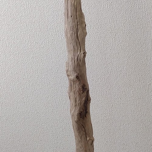 流木 115cm - www.vanroonliving.com