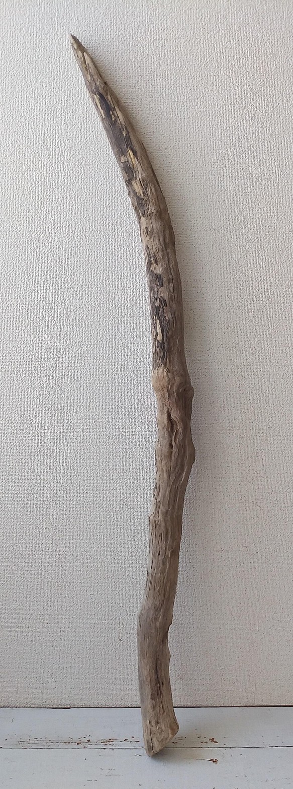 流木 115cm - eldror.co.il