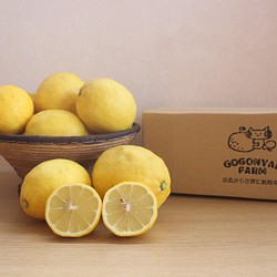 家庭用レモン（減農薬）1.2kg 1枚目の画像