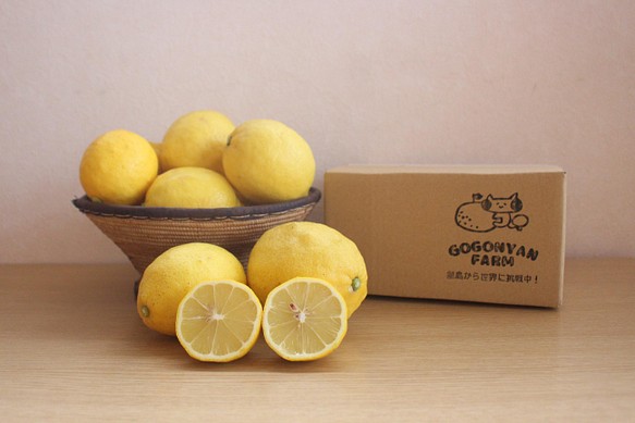 家庭用レモン（減農薬）1.2kg 1枚目の画像