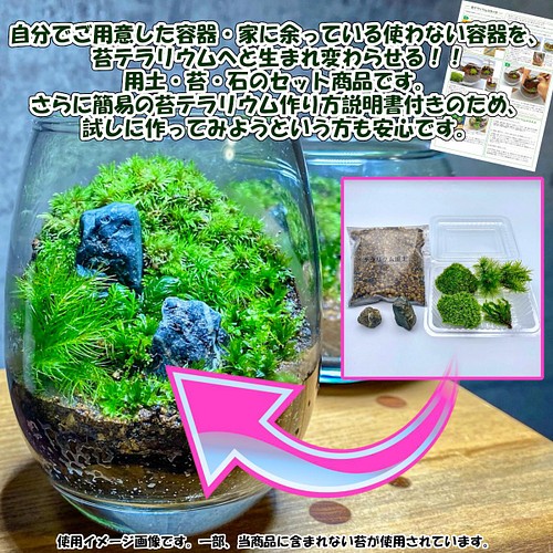 苔テラリウム 苔4種 用土 石 作り方説明書セット ハンドメイド テラリウム 工作 敬老の日 ハロウィン キット Moribito 通販 Creema クリーマ ハンドメイド 手作り クラフト作品の販売サイト