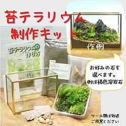 入荷処理」 ステンドグラス☆六角形のテラリウム 花のブーケの焼き付け