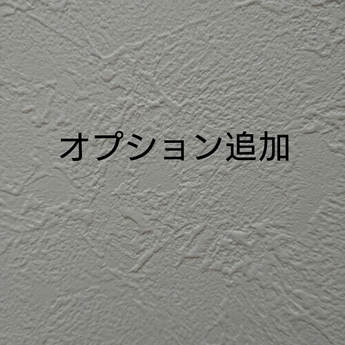 オーダーオプション 追記 | www.gamescaxas.com