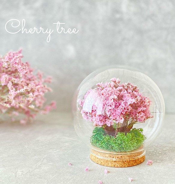 桜の木のガラスドーム 1枚目の画像