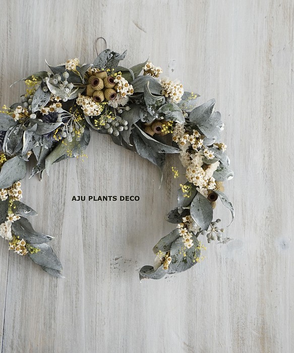 Dried flower Wreath ～ CRESCENT  ～　24x23 1枚目の画像